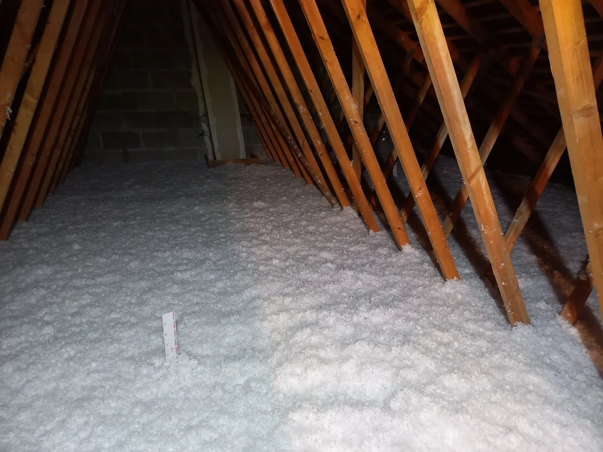 CG Isolation | Contact